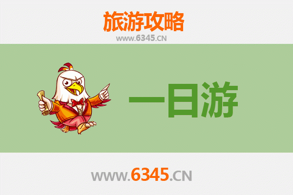 九龙油尖旺自驾一日游攻略：探索香港地道风情与都市魅力