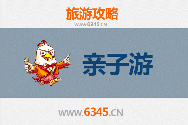 九龙油尖旺亲子游攻略：探索香港繁华地带的家庭乐趣