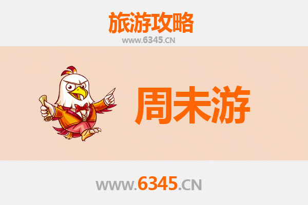 九龙油尖旺周末游攻略 | 探索香港最地道的市井文化与美食盛宴