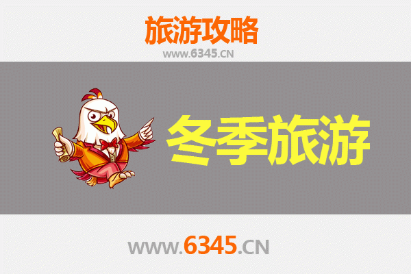 九龙油尖旺冬季旅游攻略：探索香港最地道的冬日魅力